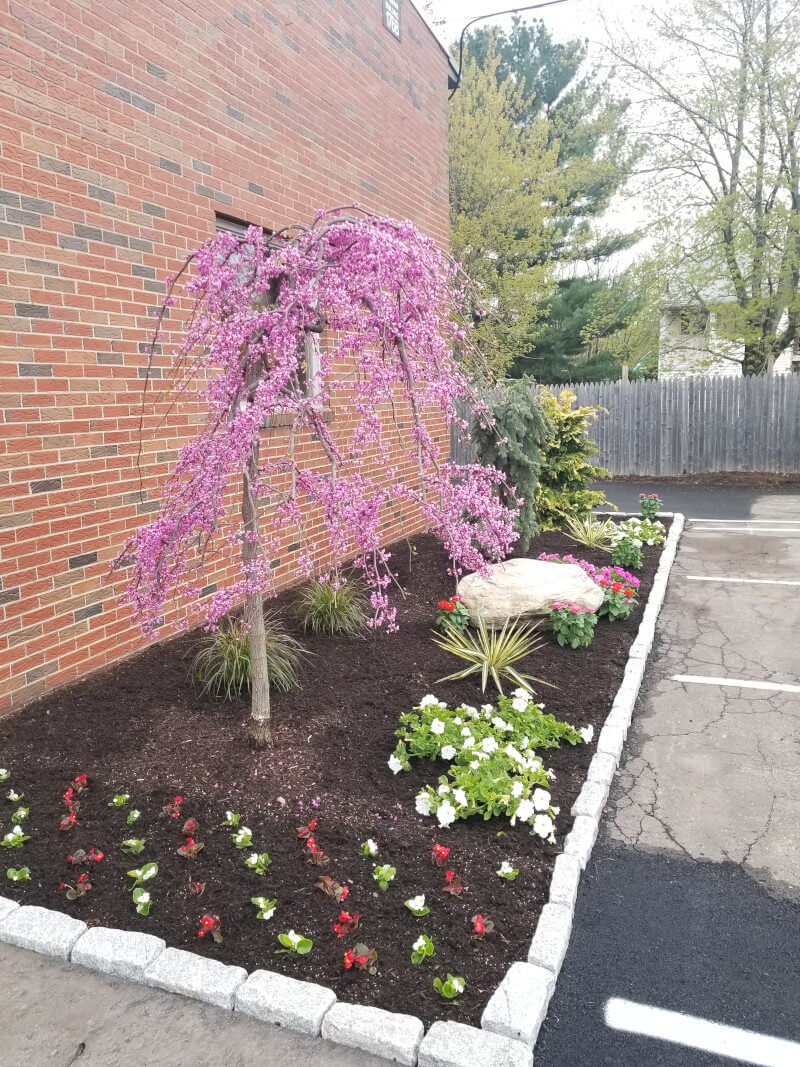 Commercial Building Landscaping - The Green Machine